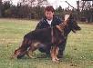 V Fiasko von Gebr�der Grimm
